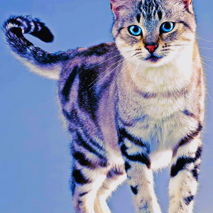 Cat Food
