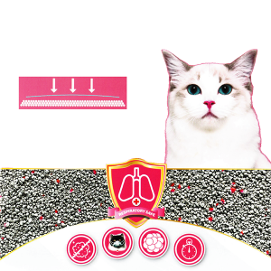 DUST OFF MASTER®