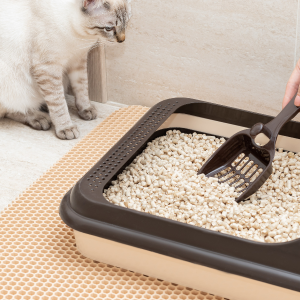 Cat Litter